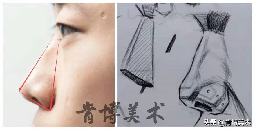 素描入门零基础教程人像鼻子,素描人物头像鼻子详细教程