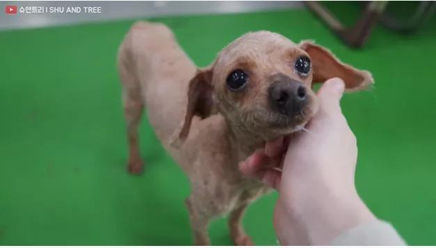 tony老师高阶换头术,90后tony老师换头术