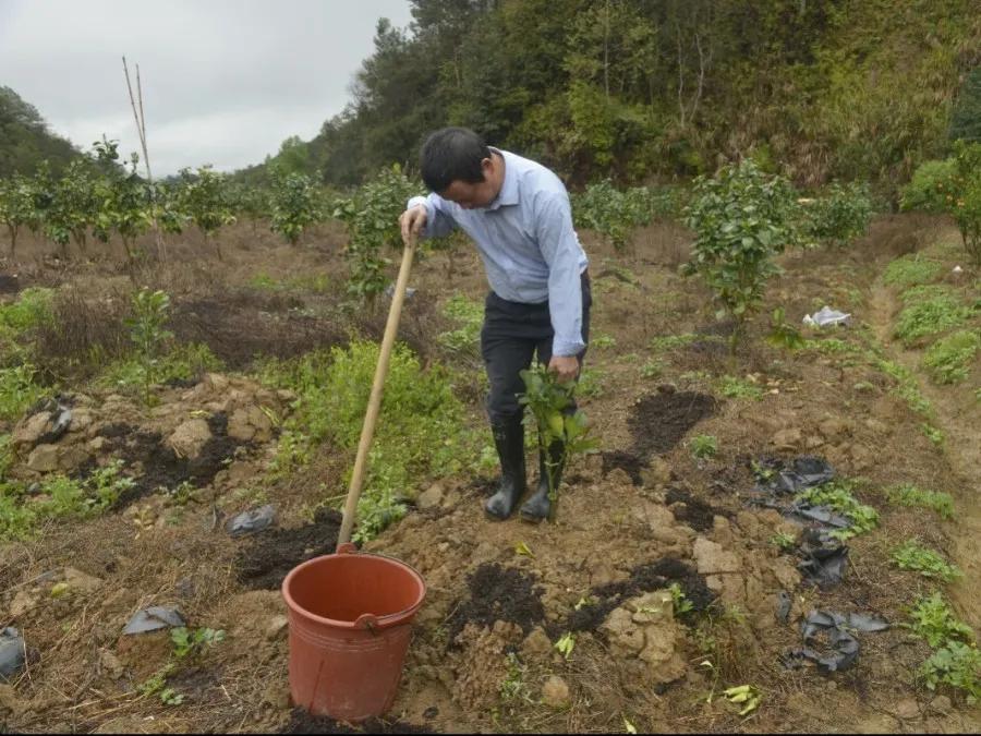 各地春耕备耕热潮,吹响春耕备耕集结号