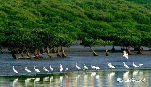 2050美国科技大赛,美国科学无国界挑战赛