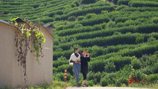 老贵阳烤鸡方法与技巧,炭火烤鸡用什么配料最好吃