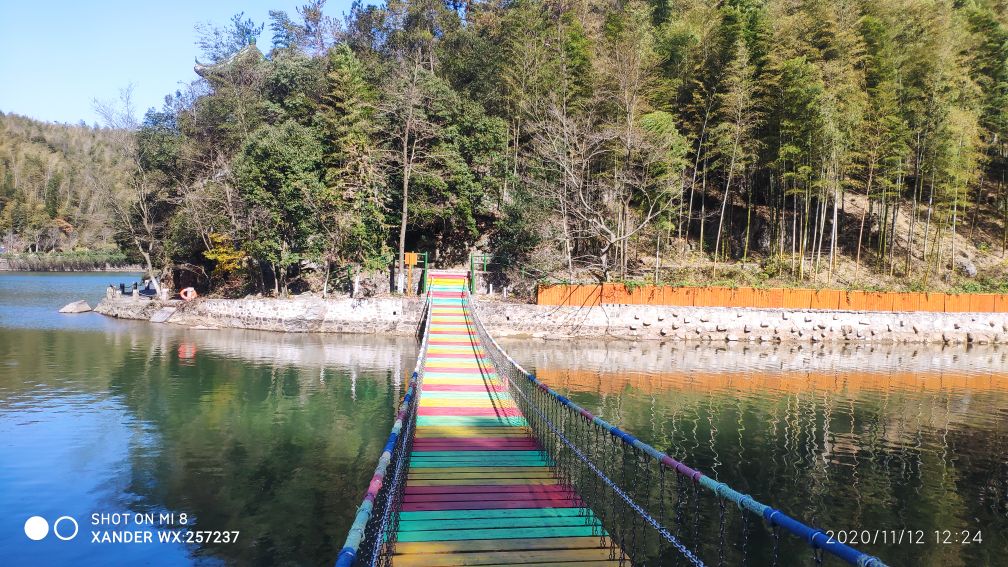 宜兴竹海十一月金色素材图片