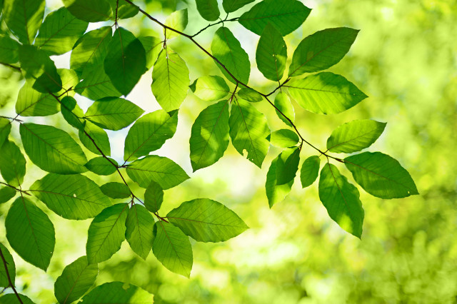 同学群让人反感,同学群有的不受待见