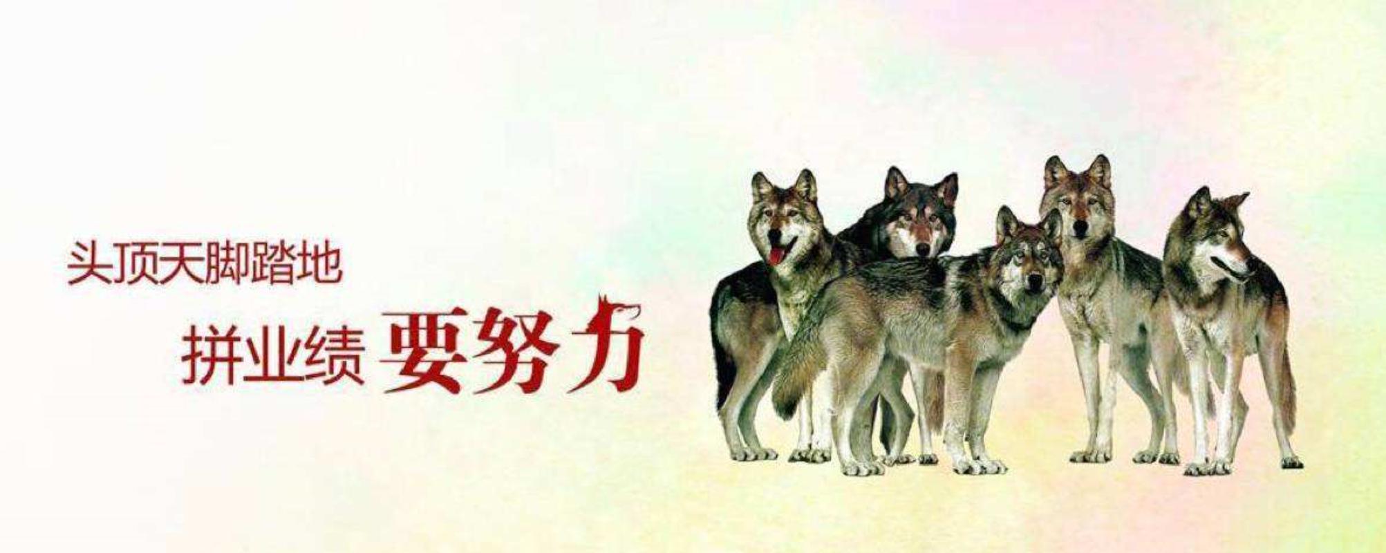 运营和经营的区别,运营包含经营和管理