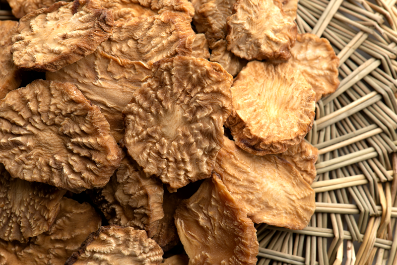 肉苁蓉补肾阴虚还是肾阳虚,肉苁蓉补阴虚