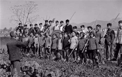 村民挖出一件国宝,农村盗墓挖出国宝