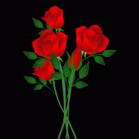 作文立意技巧四种,谈谈作文如何选材