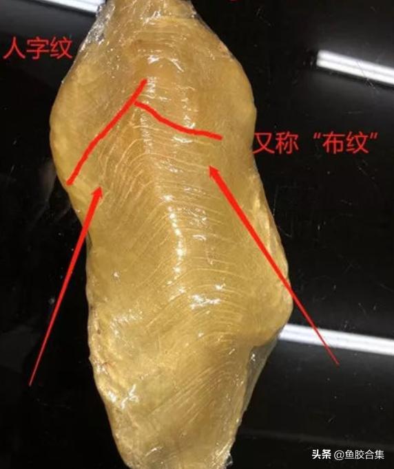 鱼胶花胶本港白花胶,小白花胶跟白花胶是一种鱼胶吗