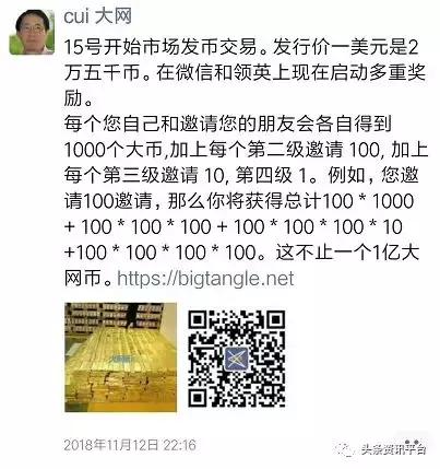 名不见经传的“大网币”是何方神圣，违规、投诉背景下会何去何从