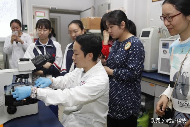 生命科学研究揭秘细胞的小秘密,探索细胞奥秘