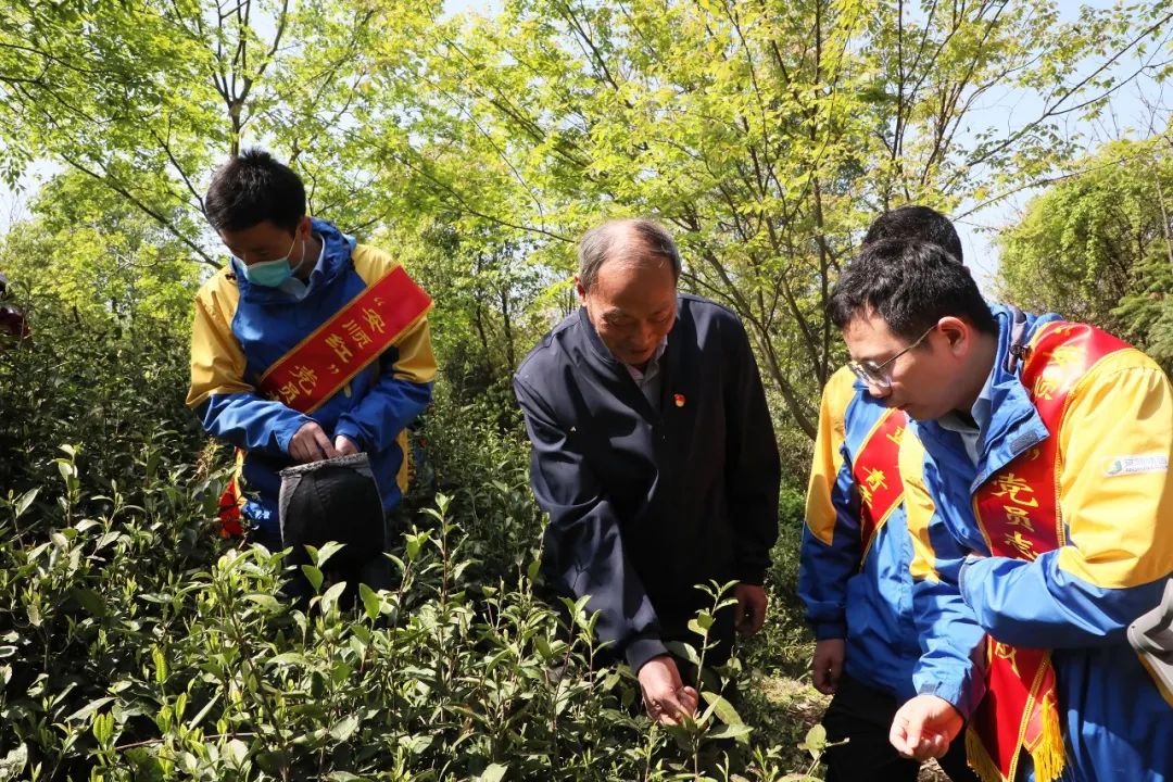 溧阳安顺开展“百名团员初心访，青春学史续辉煌”活动