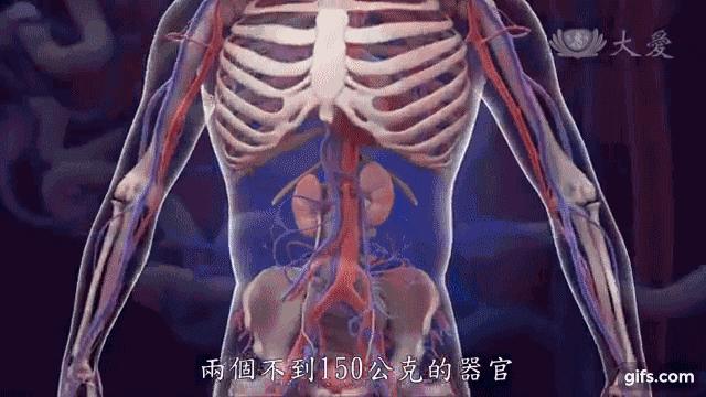 肾友怎么治疗,怎样才能降低肌酐肾科医生告诉你