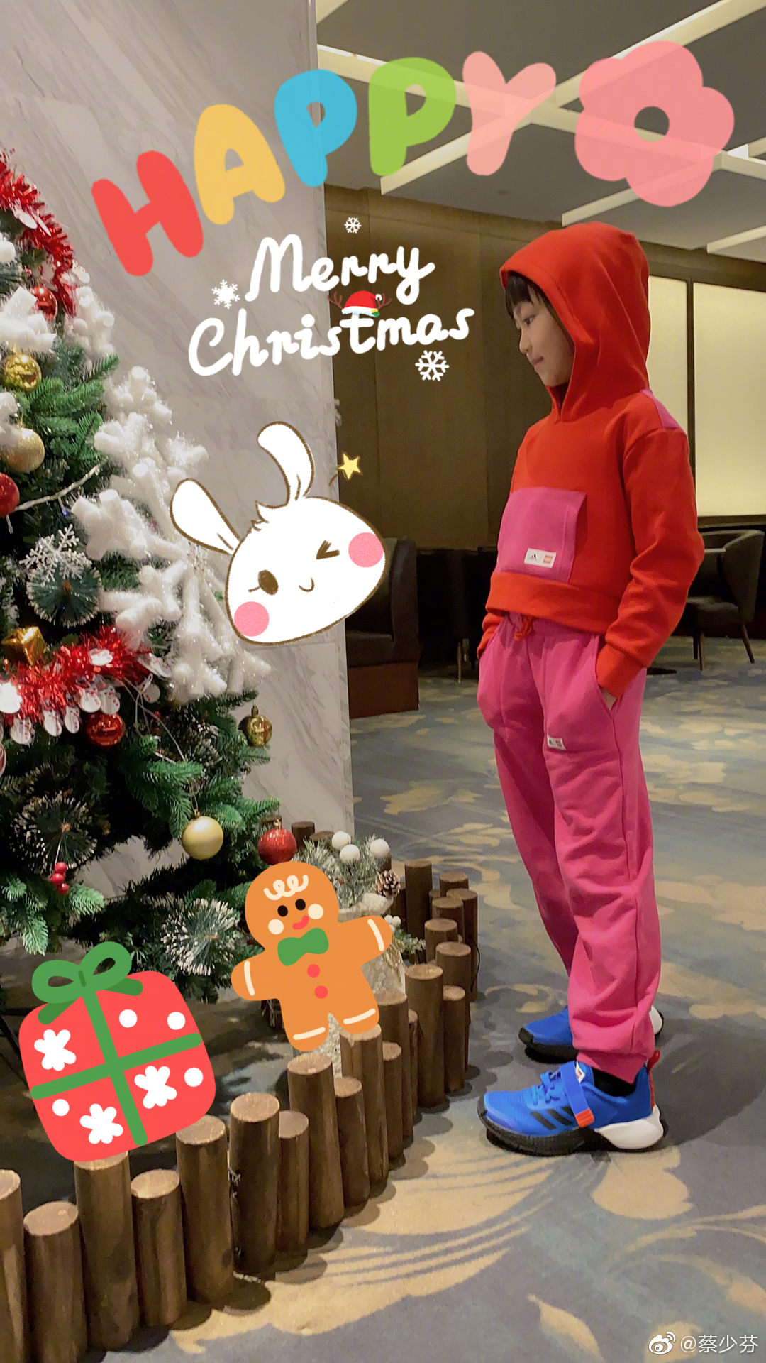 蔡少芬香港房产多吗,蔡少芬钟镇涛