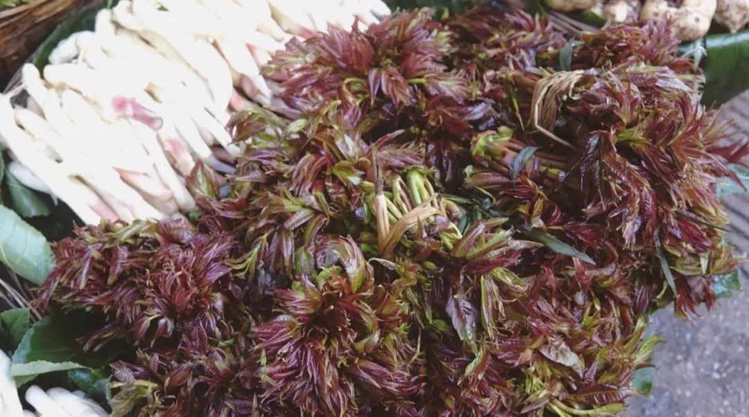 等了一年，终于吃上了！这个春天无憾了