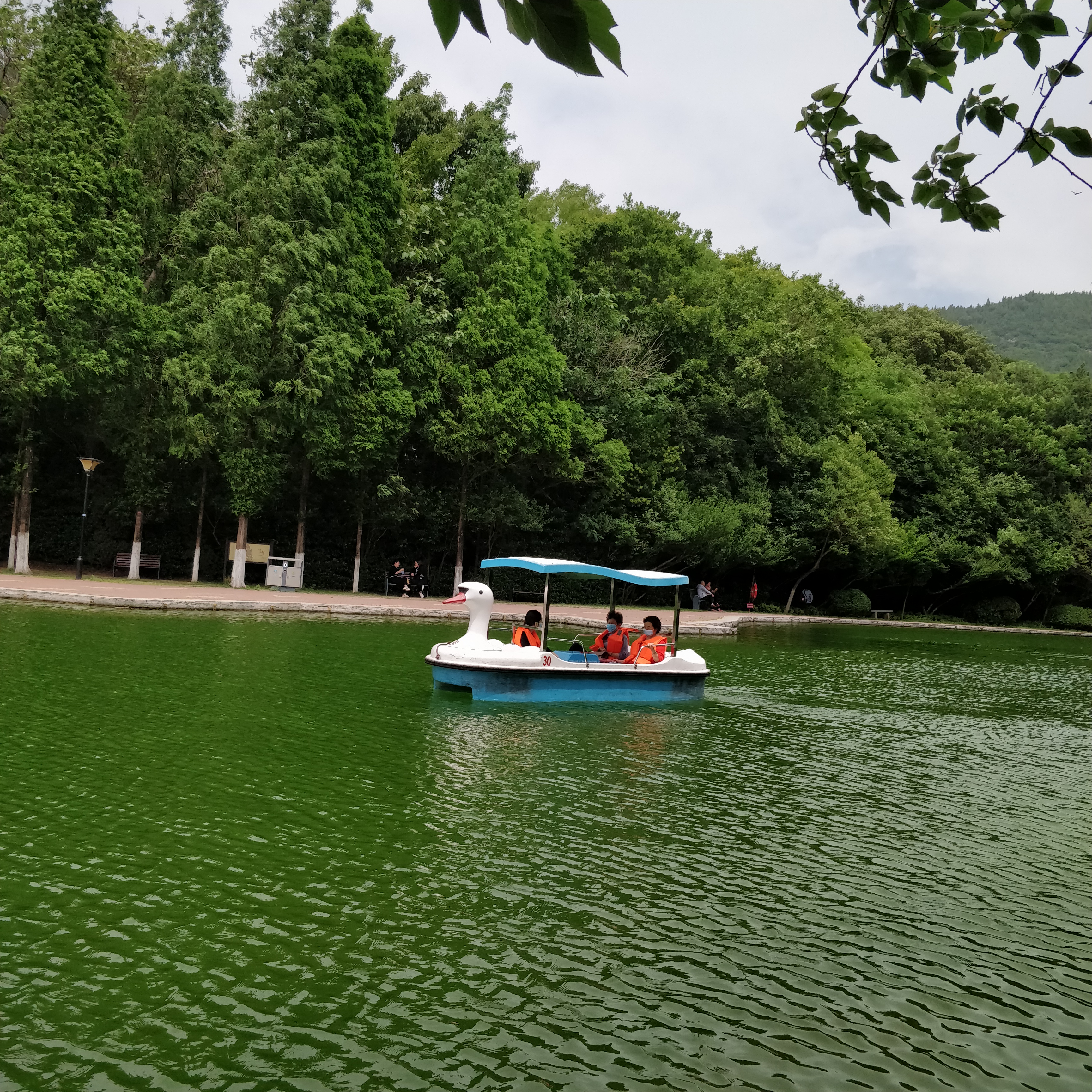 淮北相山公园相山之巅,我眼中的公园范文