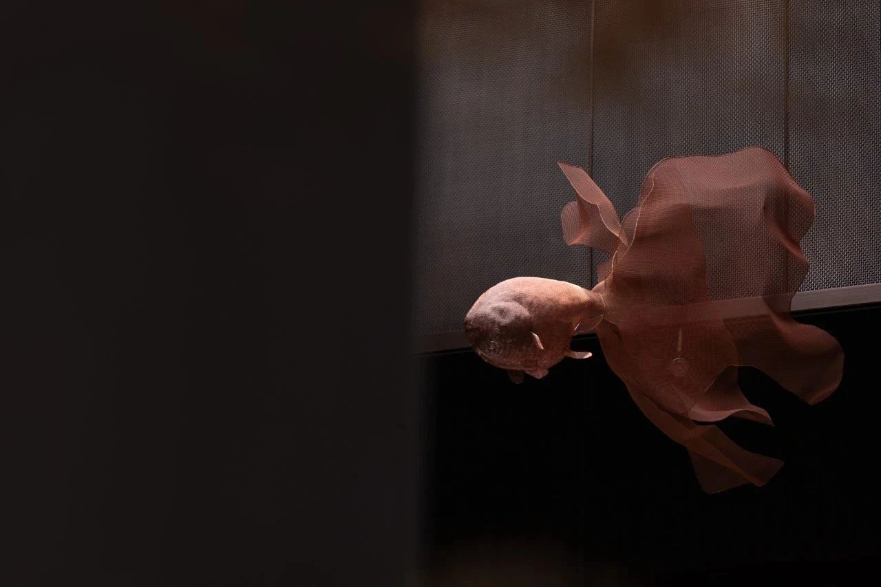 广东江门远洋天成,江门远洋天成最低成交价