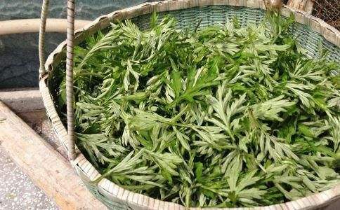 治蚊虫叮咬的可以做盆栽的野草,可以治疗蚊虫叮咬的野草