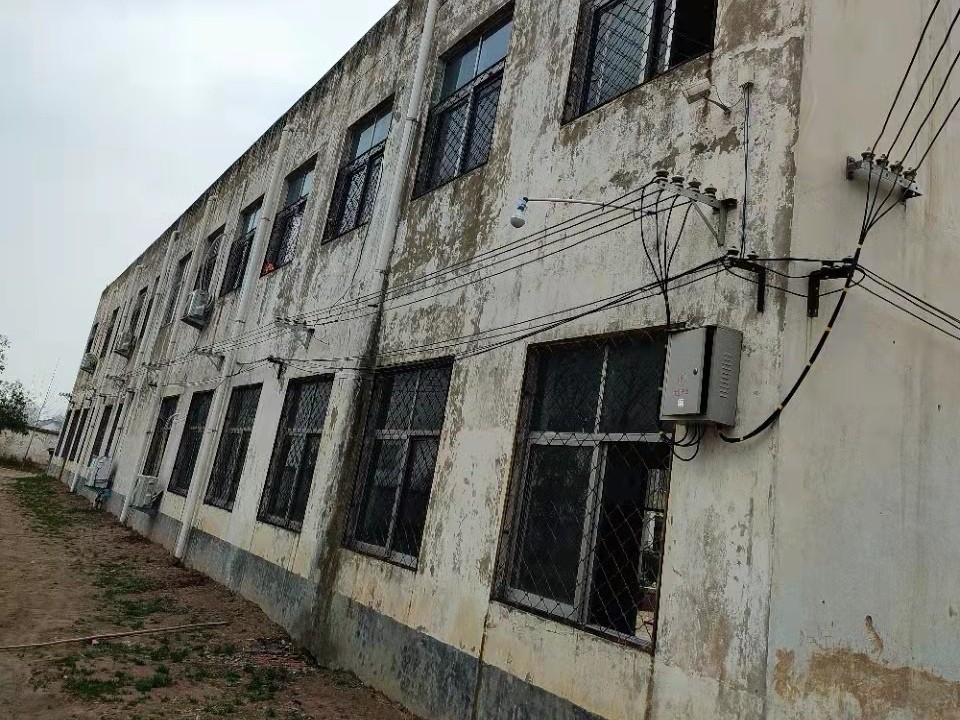 80后“白发校长”张鹏程：为了学生，不要“家”了