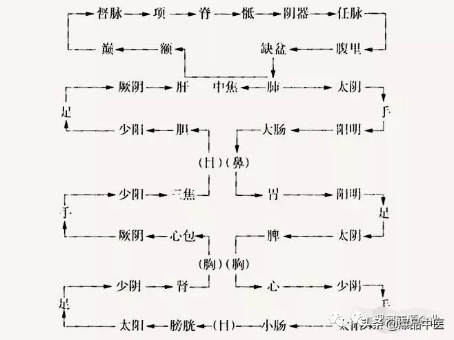 十二经筋连接动态图,十二经筋的图解