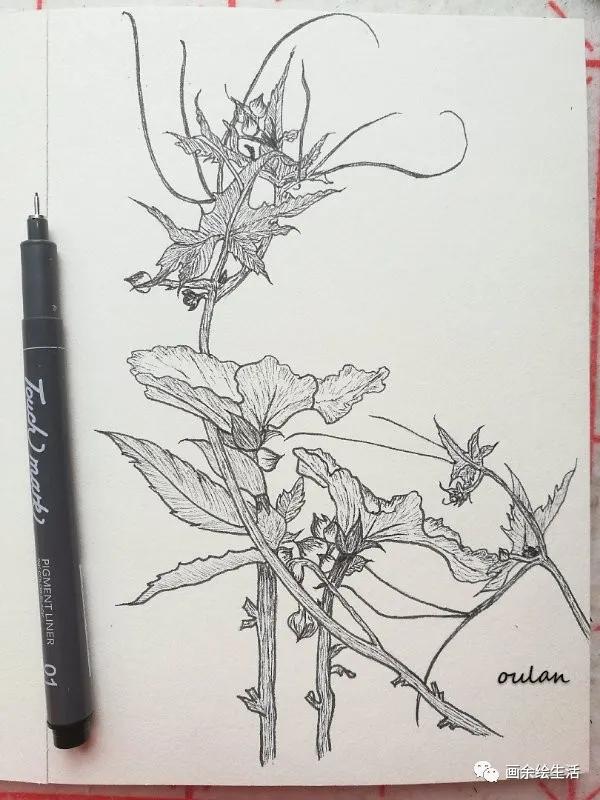 粉丝投稿和平精英,粉丝投稿欧文