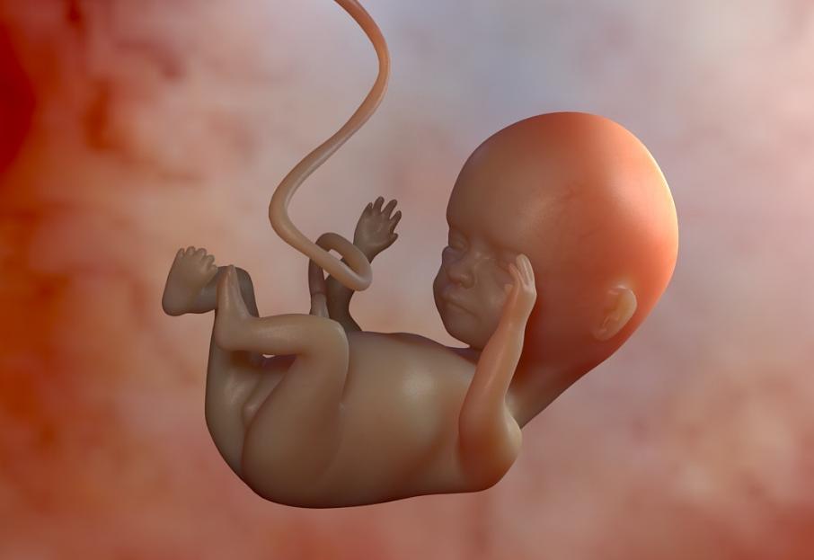 怀孕到底有多辛苦只有妈妈才知道,怀孕真辛苦