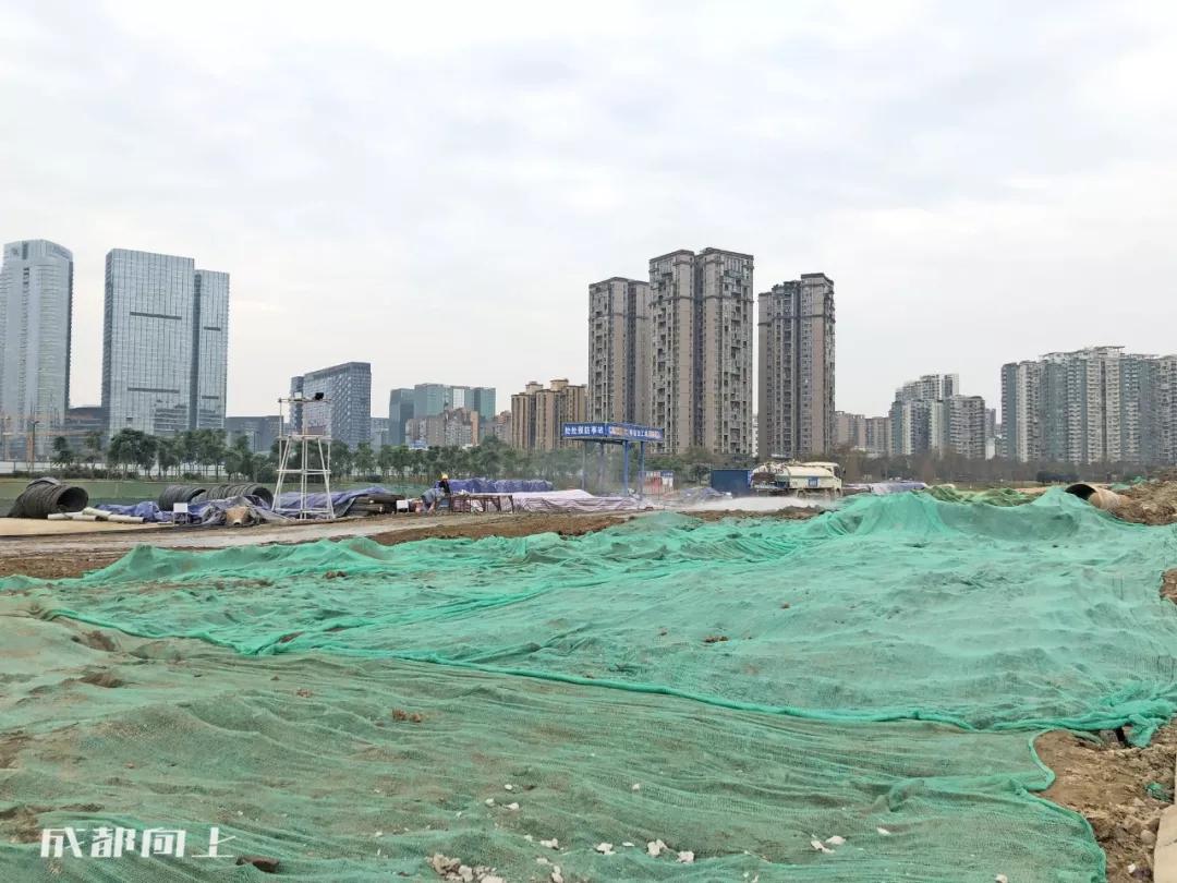 成都2024年火爆项目,巨变前夜智能网联汽车