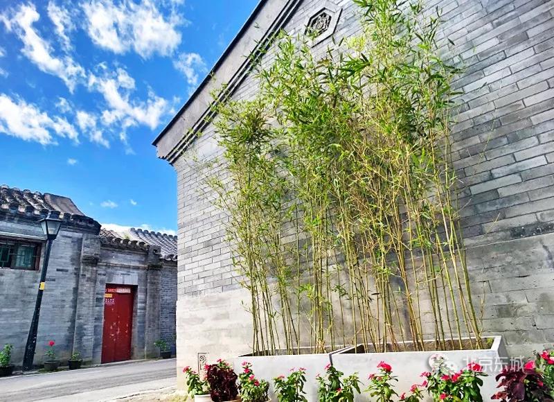 东城区发展规划,东城区文明城规划