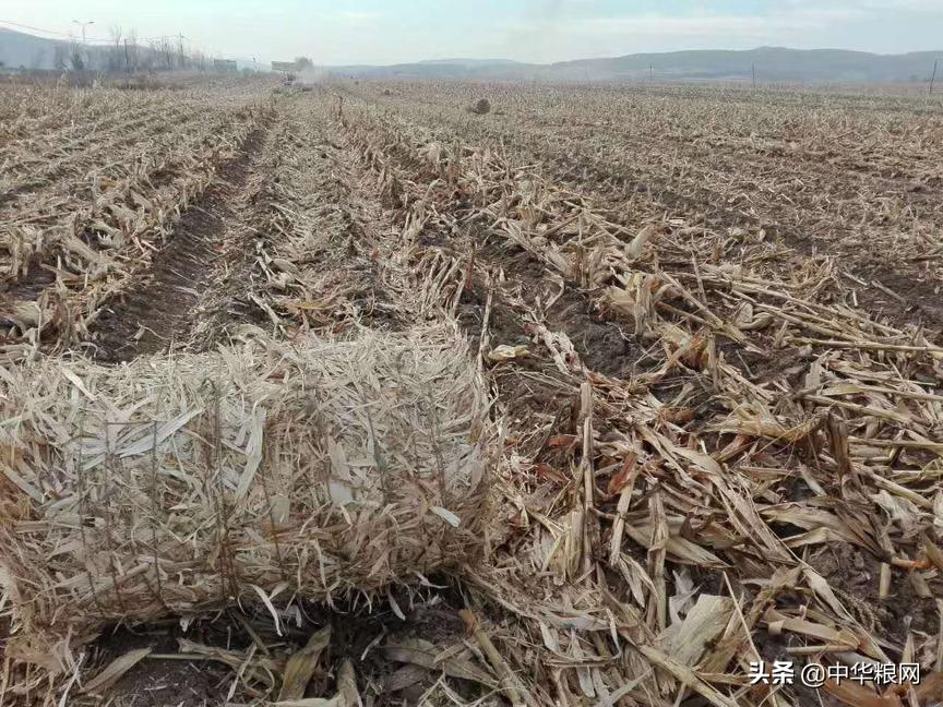 东北农业问题,关于东北农业的视频