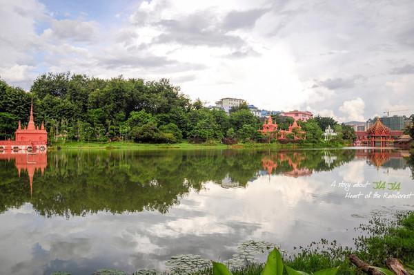 在西双版纳，做了一回“猫哆哩”