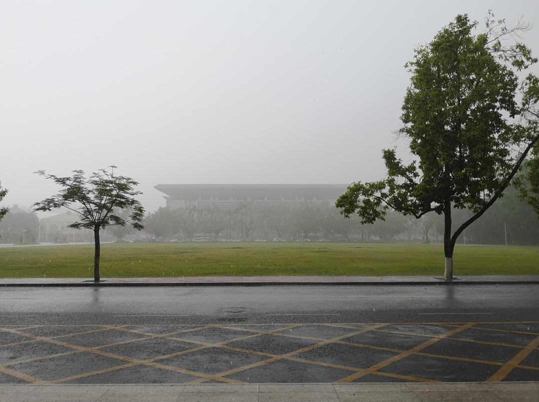 广西大学变化历史,广西大学文科毕业的你后来咋样了