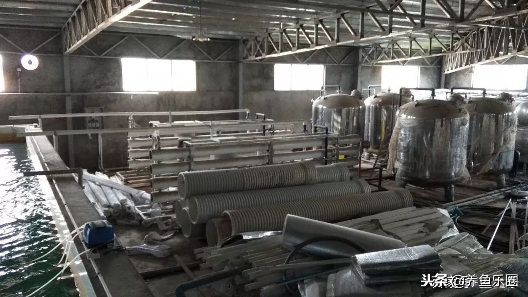 这位土豪家的渔场，光滤材就花了500多万，你确定不要见识一下？