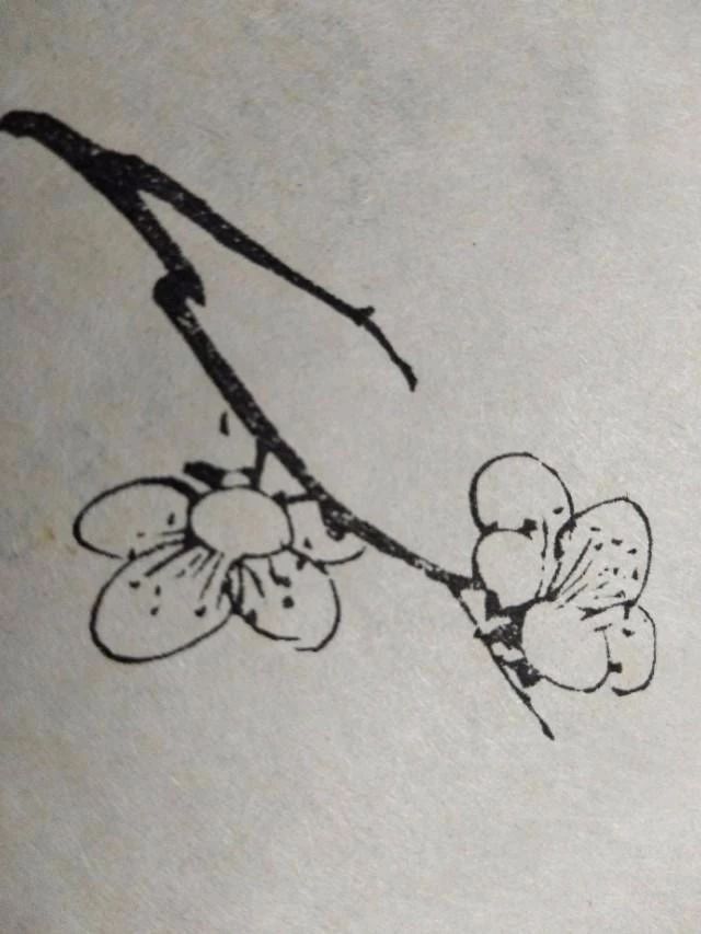 梅花该怎么画才好看,梅花用什么笔画最好看
