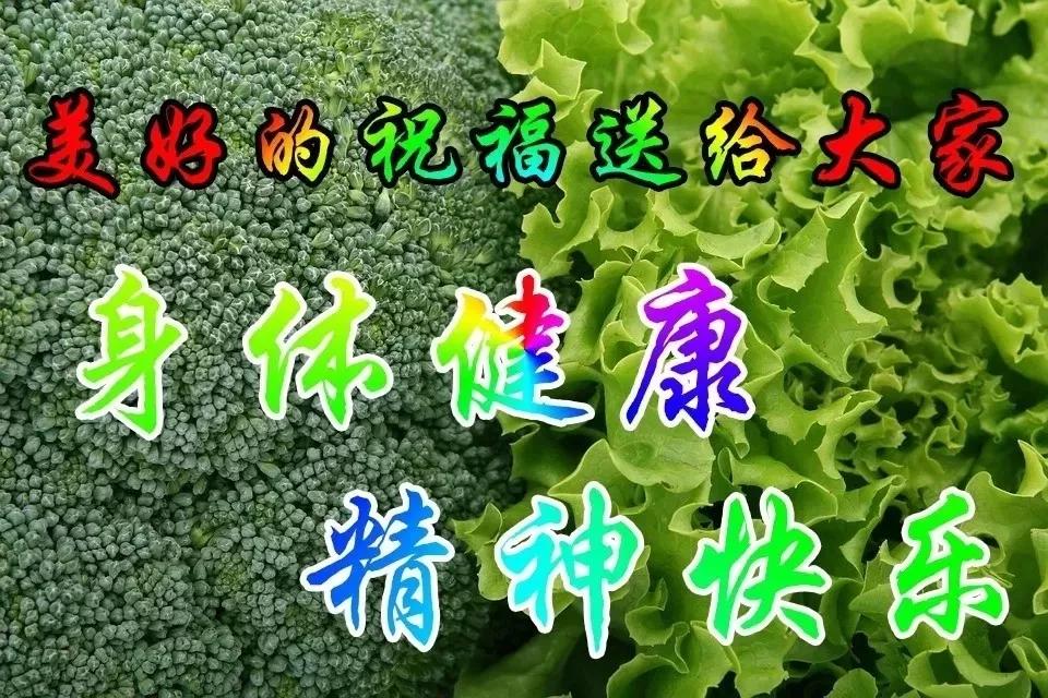 没有不努力的人只有更努力的人,没有不进取的人生只有不进取的人