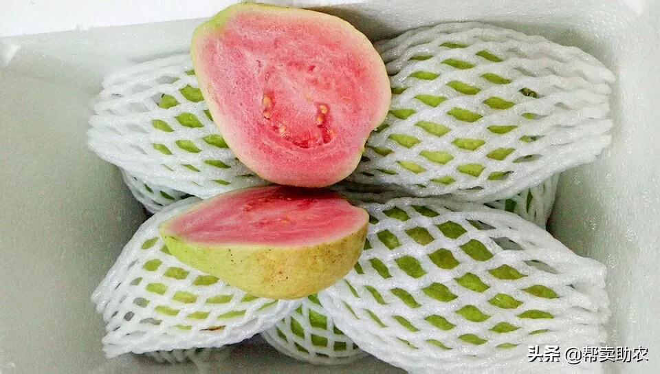 水果中脂肪含量高的水果,低糖高纤维的水果