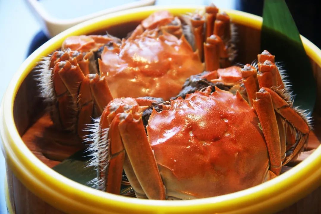 寻味徐汇好食光丨属于秋天的味道,那绝对少不了它!