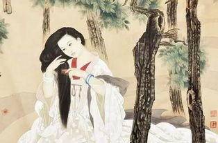 古人防脱发戴假发,古代脱发有什么奇招