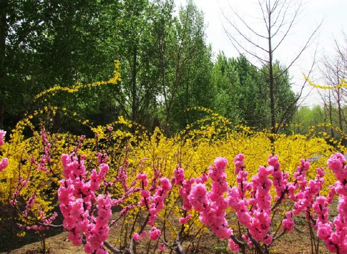 北京戒台寺郊野公园,北京燕山东岭郊野公园