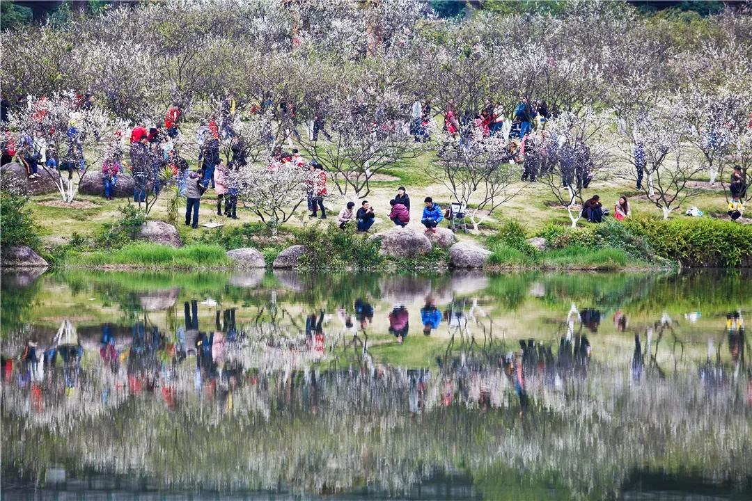 宝藏新公园周末好去处快来打卡,必打卡的宝藏公园