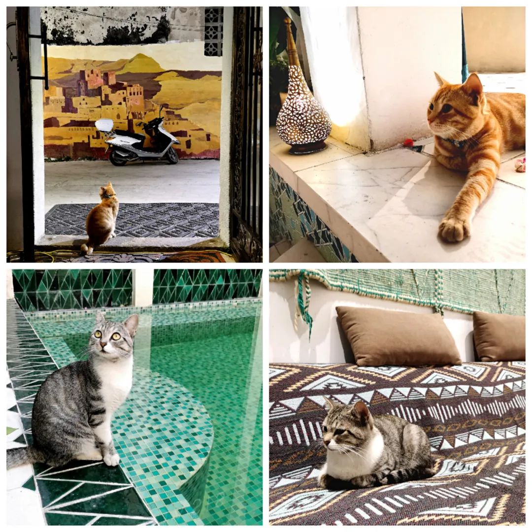 潮州有哪些好玩好吃的,潮州哪些好吃的地方