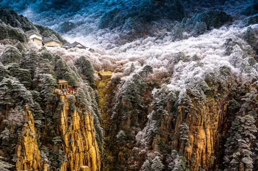 元旦去黄山旅游看雪景,元旦去云雾山跨年