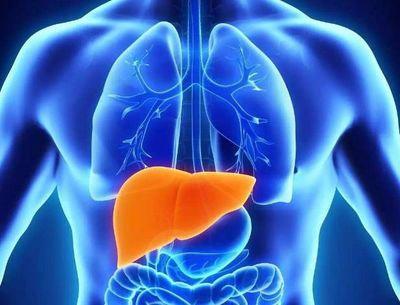 脂肪肝是如何进化成肝癌的,科普脂肪肝也能发展成为肝癌