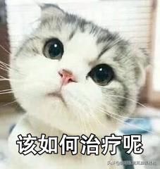 前庭性偏头痛遗传吗,晕头痛是什么症状