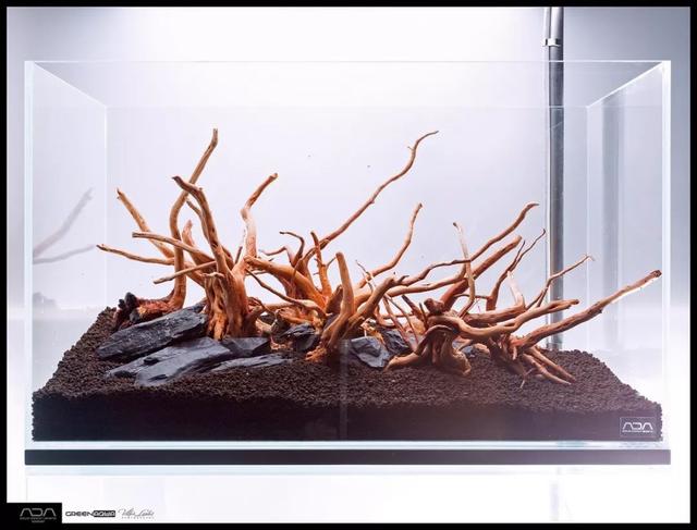 ada风格造景用什么底砂,鱼缸造景ada风格