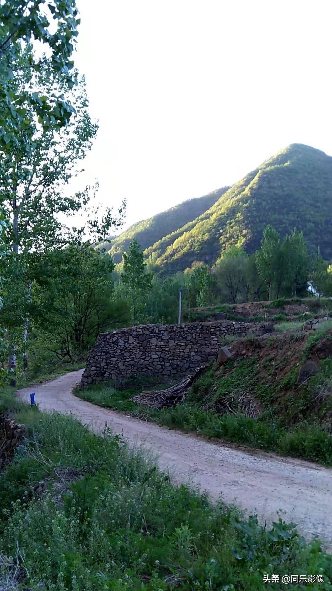 河南汝阳靳村鱼山,靳村鱼山