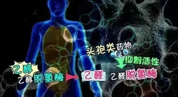 今日大暑|中暑了就喝藿香正气水？还真不一定