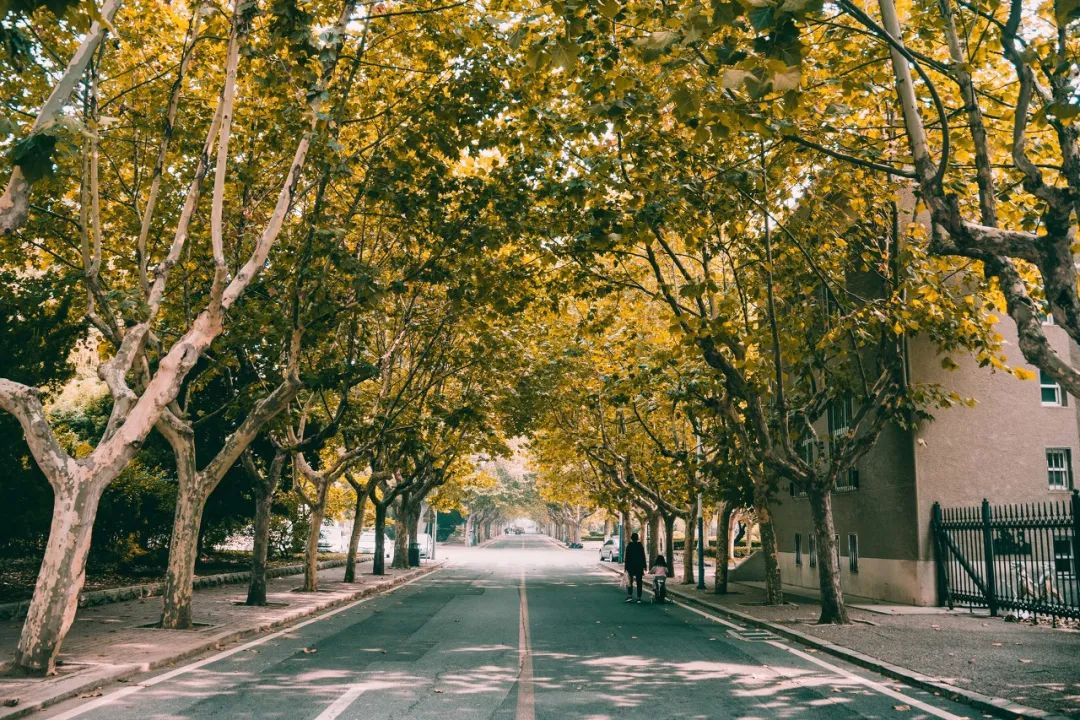 旅游三亚和厦门哪个更值得去,三亚和厦门哪一个更值得去旅游