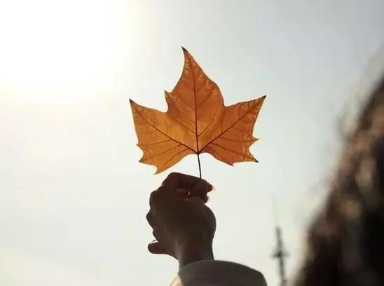 男人选择原谅出轨的妻子代表什么,妻子出轨被丈夫发现跪求丈夫原谅