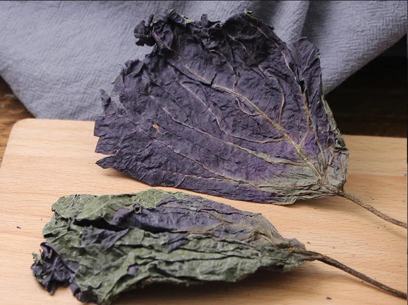 农村常见的野菜紫苏,紫苏是野草么