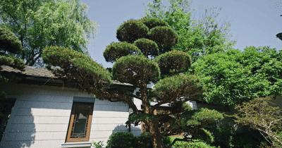 中式风格千万豪宅,中式家居豪宅