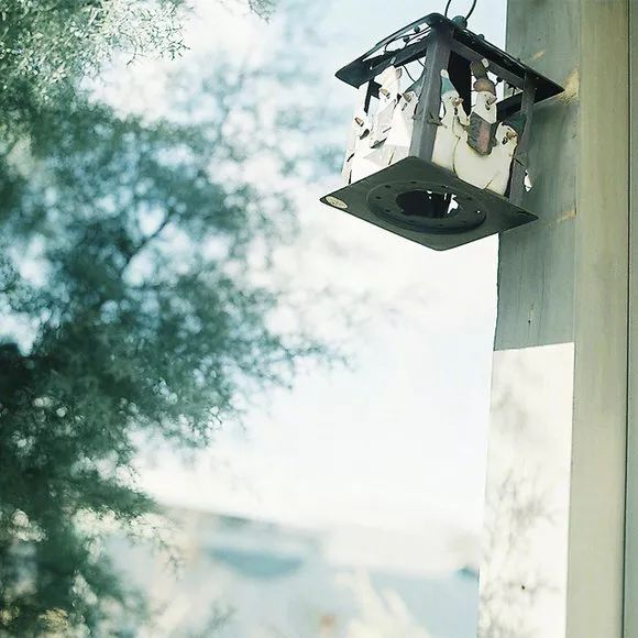 所谓知己全文,所谓蓝颜知己多半是互为备胎